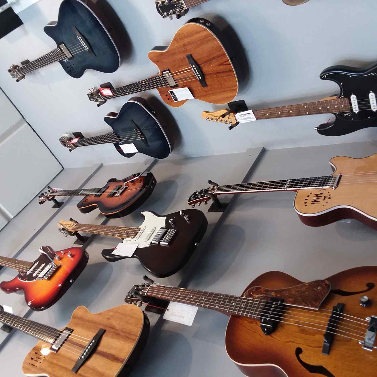 A wall of Godin guitars A wall of Godin guitars