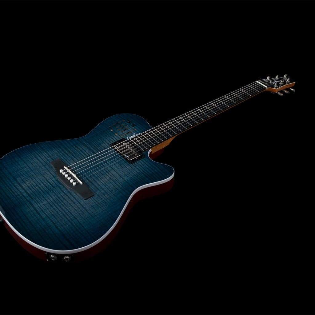 Godin A6 guitar Godin A6 guitar