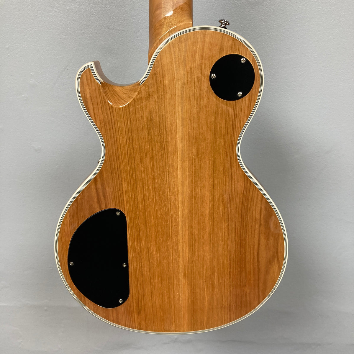Back view of a Schecter Solo-II Custom Trans Black Burst electric guitar with white binding, two black plastic access panels, and premium Schecter USA Pasadena pickups. Includes case. Used.