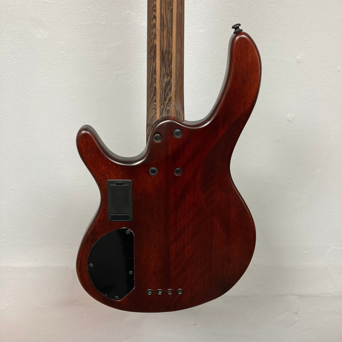 Cort Artisan B4 Element bass guitar close-up showcasing strings, pickups, and bridge with detailed craftsmanship and premium materials.