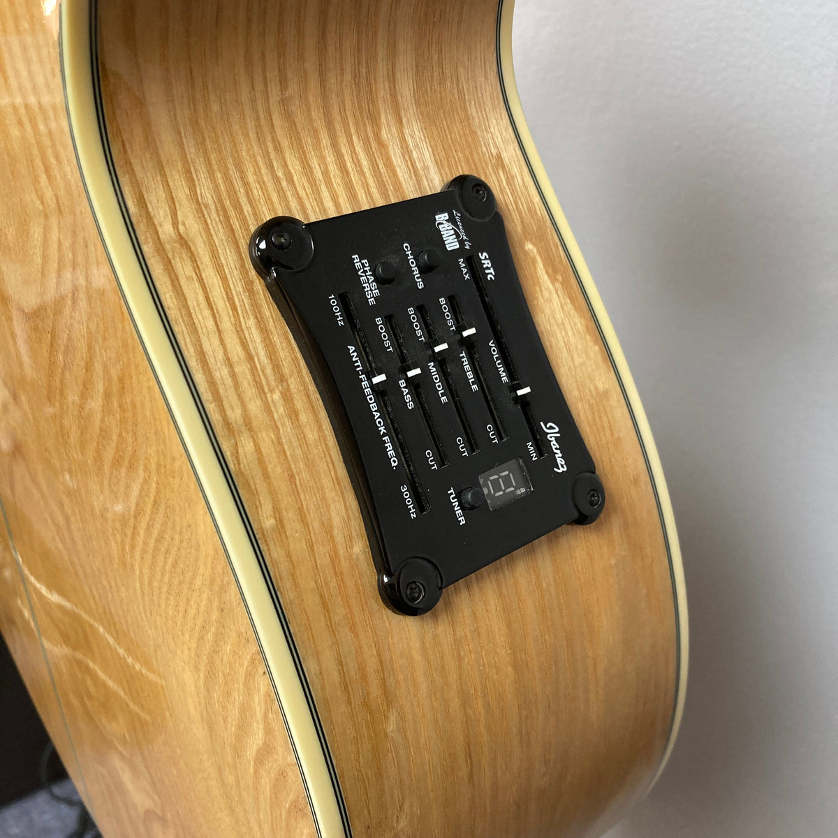 Ibanez EW20ASE w/Case Used Consign