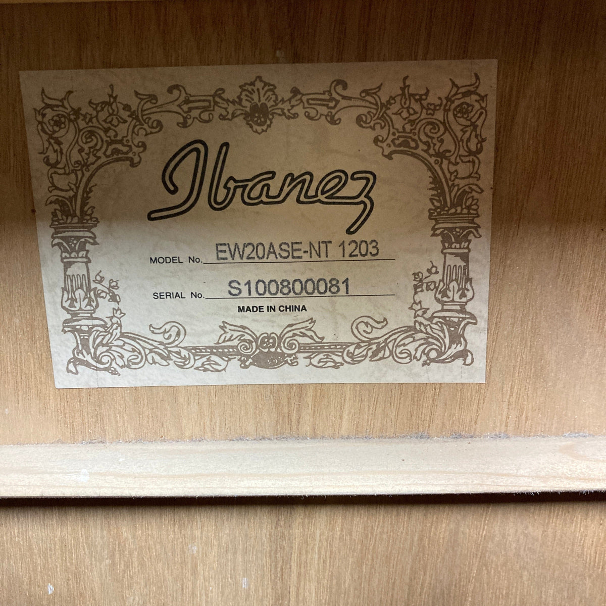 Ibanez EW20ASE w/Case Used Consign