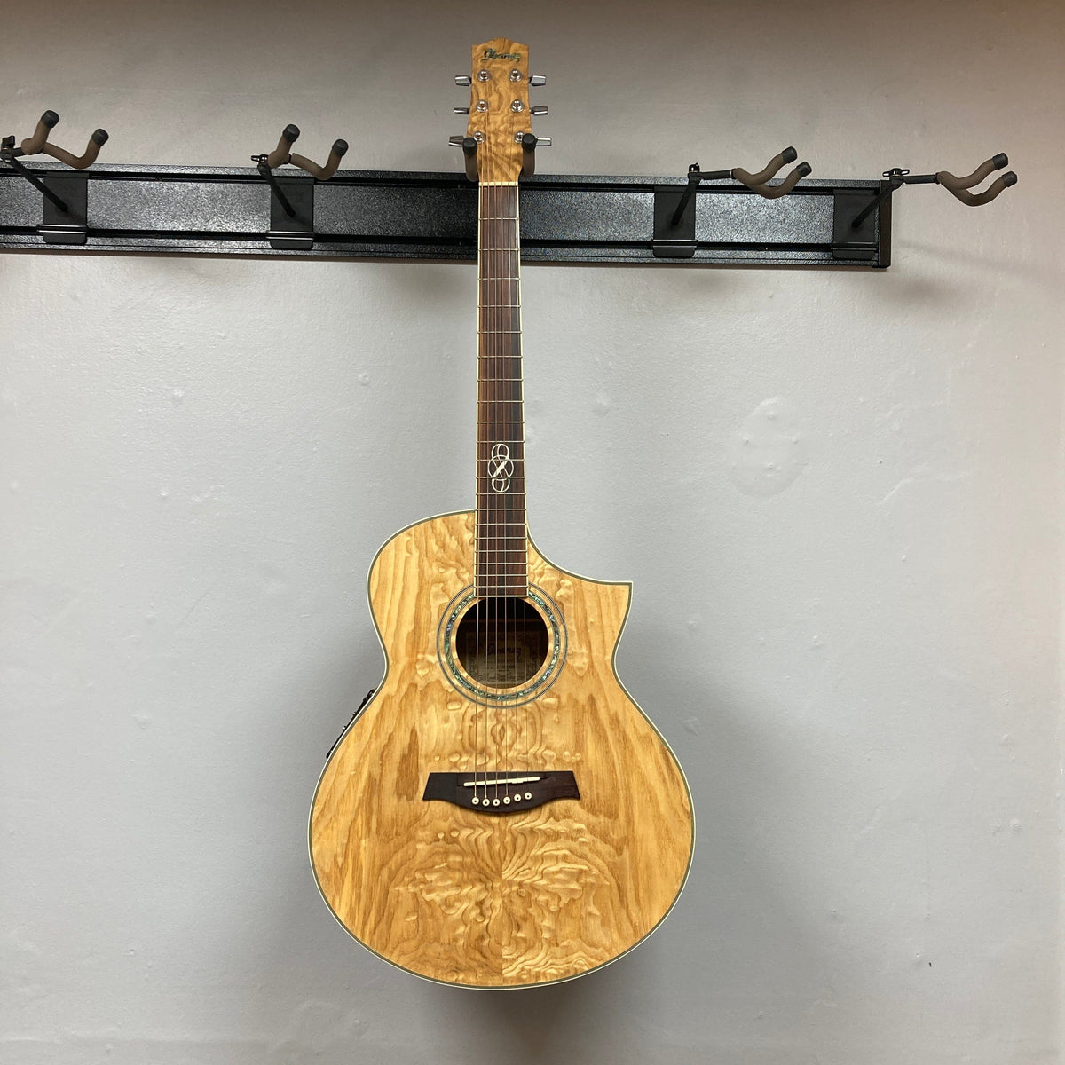 Ibanez EW20ASE w/Case Used Consign