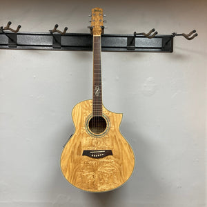 Ibanez EW20ASE w/Case Used Consign