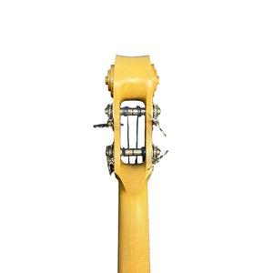 Close-up of the back of an Ampeg Rare AEB-2 Scroll Top Bass Serial #13 prototype-era Bruce Johnson build, showcasing its tuning pegs and gears against a white background, highlighting the craftsmanship of this collectible instrument.