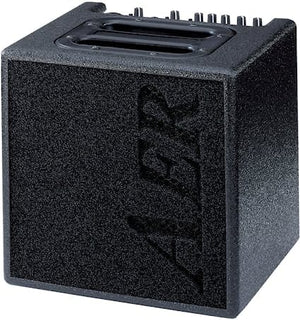 AER Alpha 40W 1x8 Acoustic Guitar Combo Amp with metal gain knobs and a sturdy black birchwood cabinet.