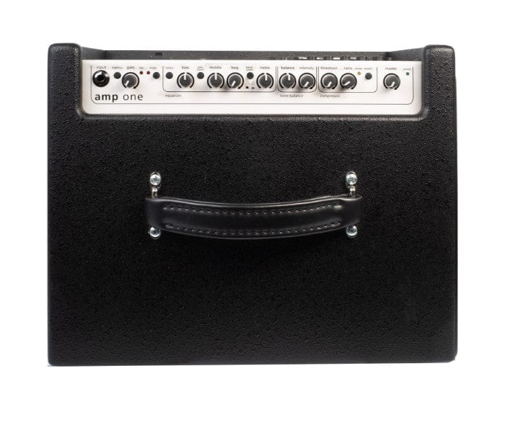 AER Amp One Bass Amp with 10 woofer and leather handle, designed for powerful bass sound.