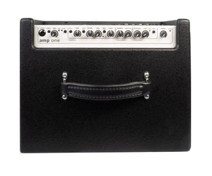 AER Amp One Bass Amp with 10 woofer and leather handle, designed for powerful bass sound.