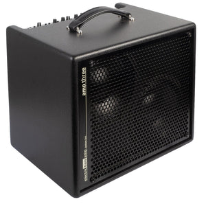 AER Amp - Three 200W Electric Bass Combo Amp with handle, featuring two 8 speakers and versatile sound-shaping controls.
