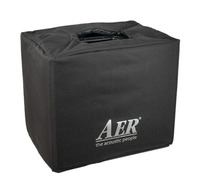 AER Domino 3 Acoustic Amplifier in a black box with logo, featuring stereo sound, dual speakers, and a 600-watt power amp.