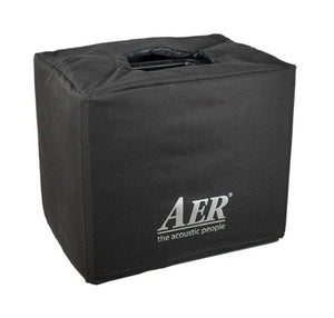 AER Domino 3 Acoustic Amplifier in a black box with logo, featuring stereo sound, dual speakers, and a 600-watt power amp.