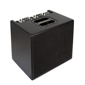 AER Domino 3 Acoustic Amplifier with knobs and buttons for control, featuring two speakers and a powerful 600-watt power amp.
