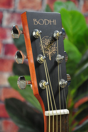 Close-up of the Bodhi BG10E Spruce Top Concert Body Acoustic-Electric Guitar headstock, featuring the Bodhi brand name and gold tree design on black, silver tuning pegs, and a blurred green leafy plant in the background.