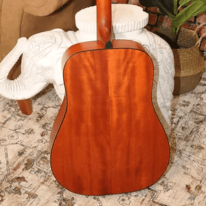 Bodhi BG20E Spruce Top Dreadnaught Body Acoustic-Electric Guitar displayed on a rug with a potted plant in the background.