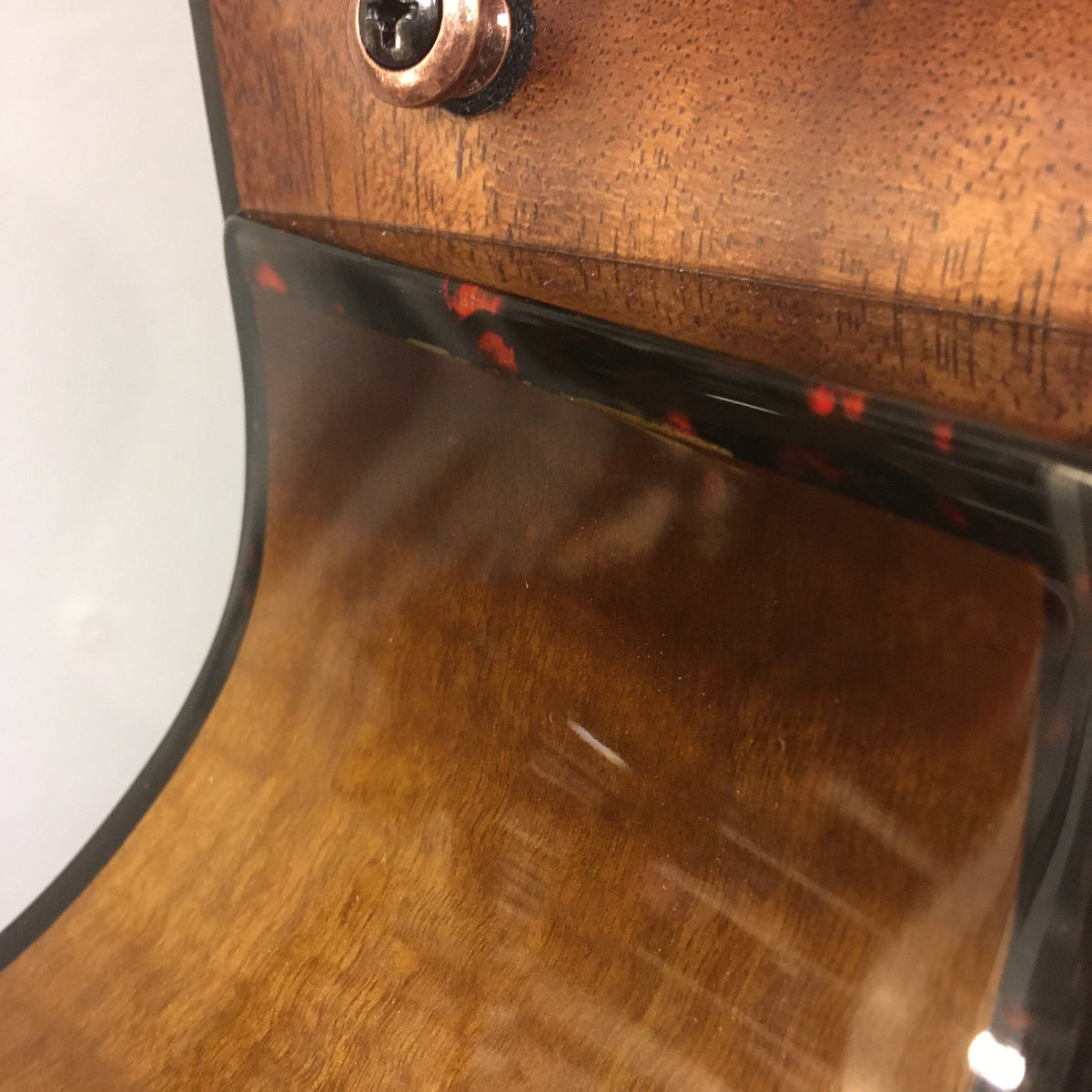 Close-up of a Breedlove Pursuit Exotic S Concerto Amber Bass CE B-Stock, highlighting finish blemishes and detailed tortoise binding.