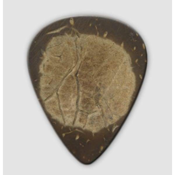Close-up of Clayton Picks Exotic Standard Coconut Shell 3 Pcs, showing their smooth, handcrafted surface designed for comfortable grip and enhanced guitar playing experience.