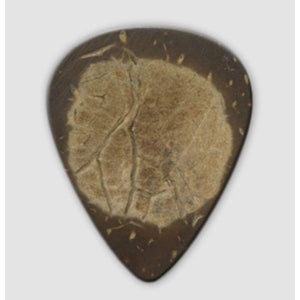 Close-up of Clayton Picks Exotic Standard Coconut Shell 3 Pcs, showing their smooth, handcrafted surface designed for comfortable grip and enhanced guitar playing experience.