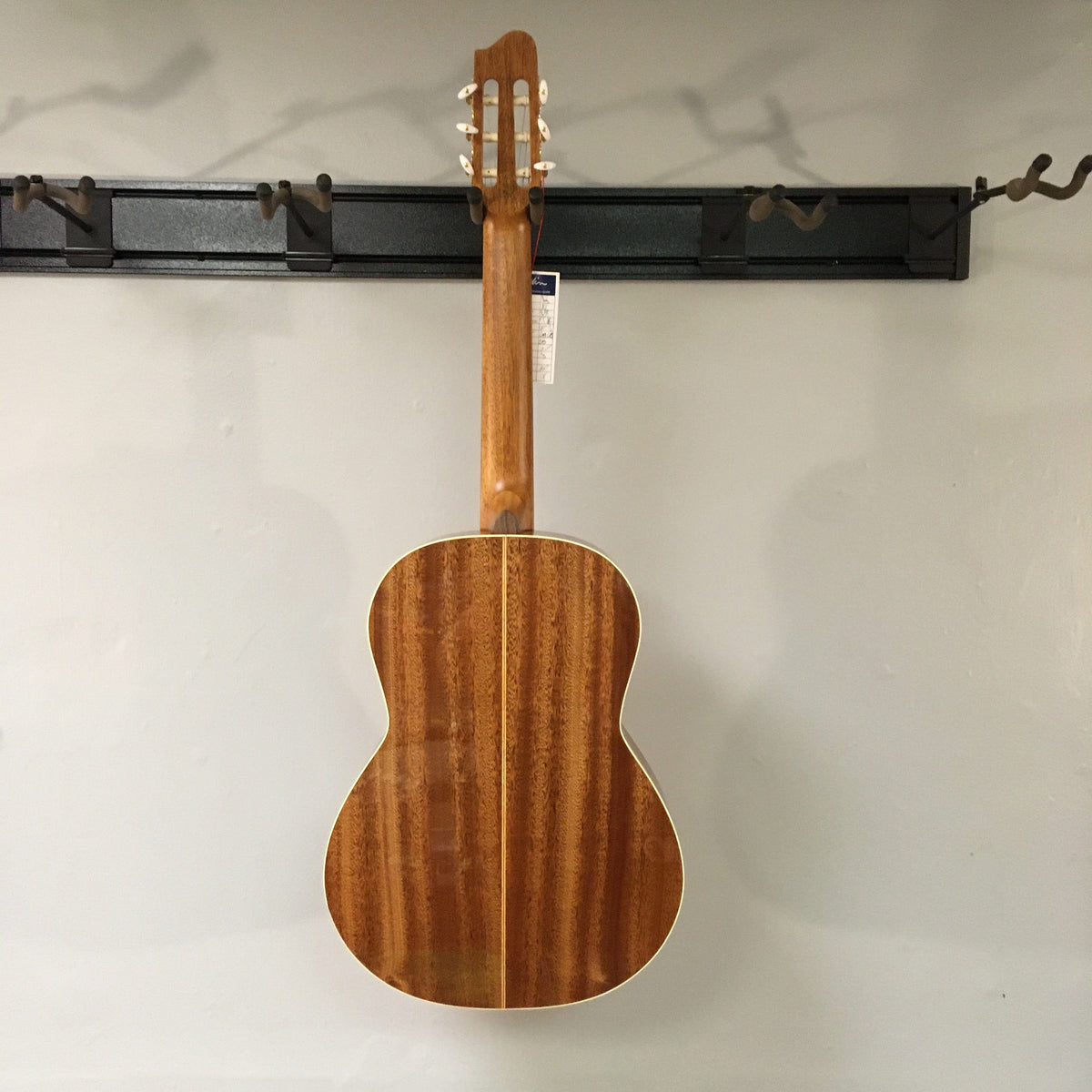Godin Concert Nylon String Classical Guitar, solid mahogany body with high gloss finish, displayed on a wall.