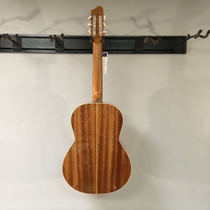 Godin Concert Nylon String Classical Guitar, solid mahogany body with high gloss finish, displayed on a wall.