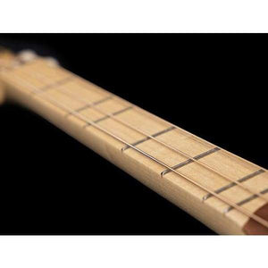 Seagull Merlin M4 Mahogany Guitars on Main