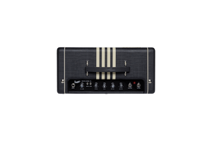 Supro Delta King 10 1x10-inch 5-watt Tube Combo Amp with buttons, knobs, and speaker in black and cream.
