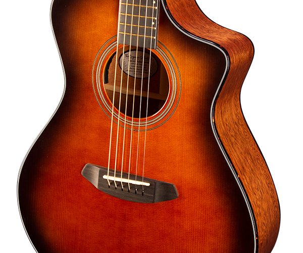 Breedlove guitar