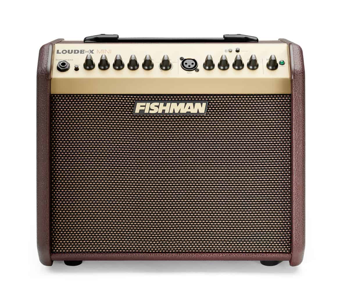 Fishman Amp