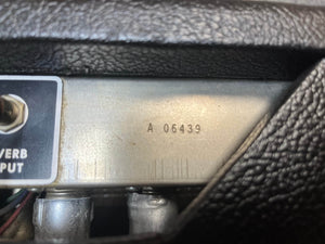 Close-up of the metal panel from a 1965 Fender Deluxe Reverb AB763 Pre-CBS Blackface amp, serial A 06439, showing the "REVERB INPUT" switch and wiring below.