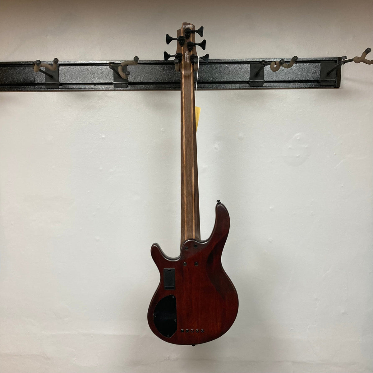 Cort B5 Artisan Element bass guitar with roasted maple fretboard and 5-piece neck, hanging on a wall.