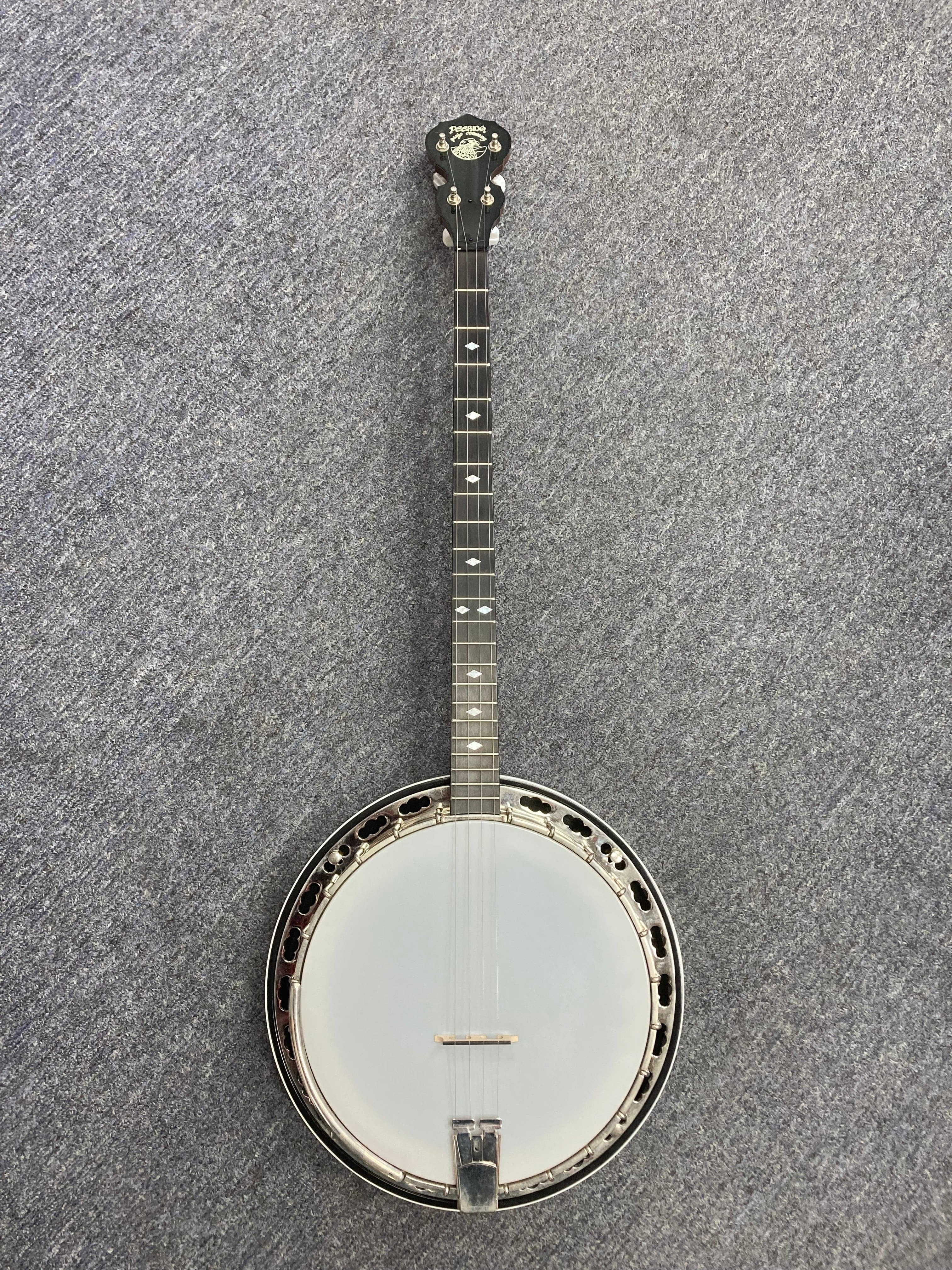 Deering 4弦　バンジョー ハードケース付き Deering Deluxe 4-String Banjo – Versatile and Intuitive