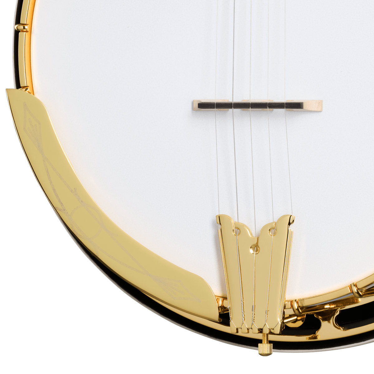 Close-up of the Epiphone Earl Scruggs Golden Deluxe Banjo, highlighting strings and intricate craftsmanship.