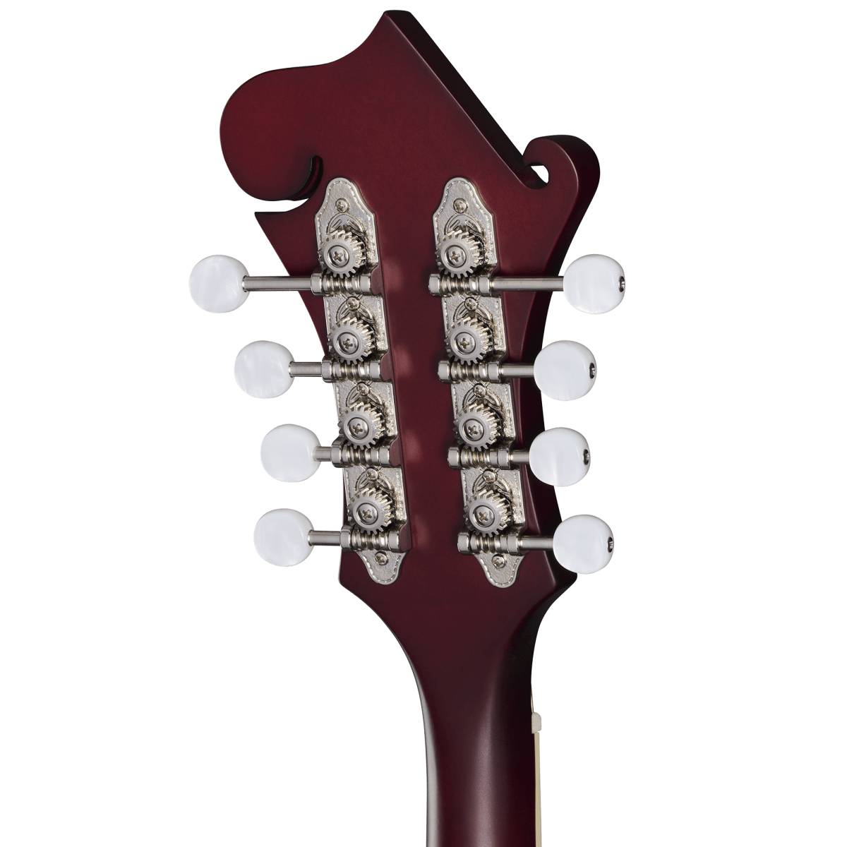 Epiphone F-5 Studio Mandolin in Wine Red Satin, close-up showing its fine craftsmanship and intricate details of the strings and tuning pegs.