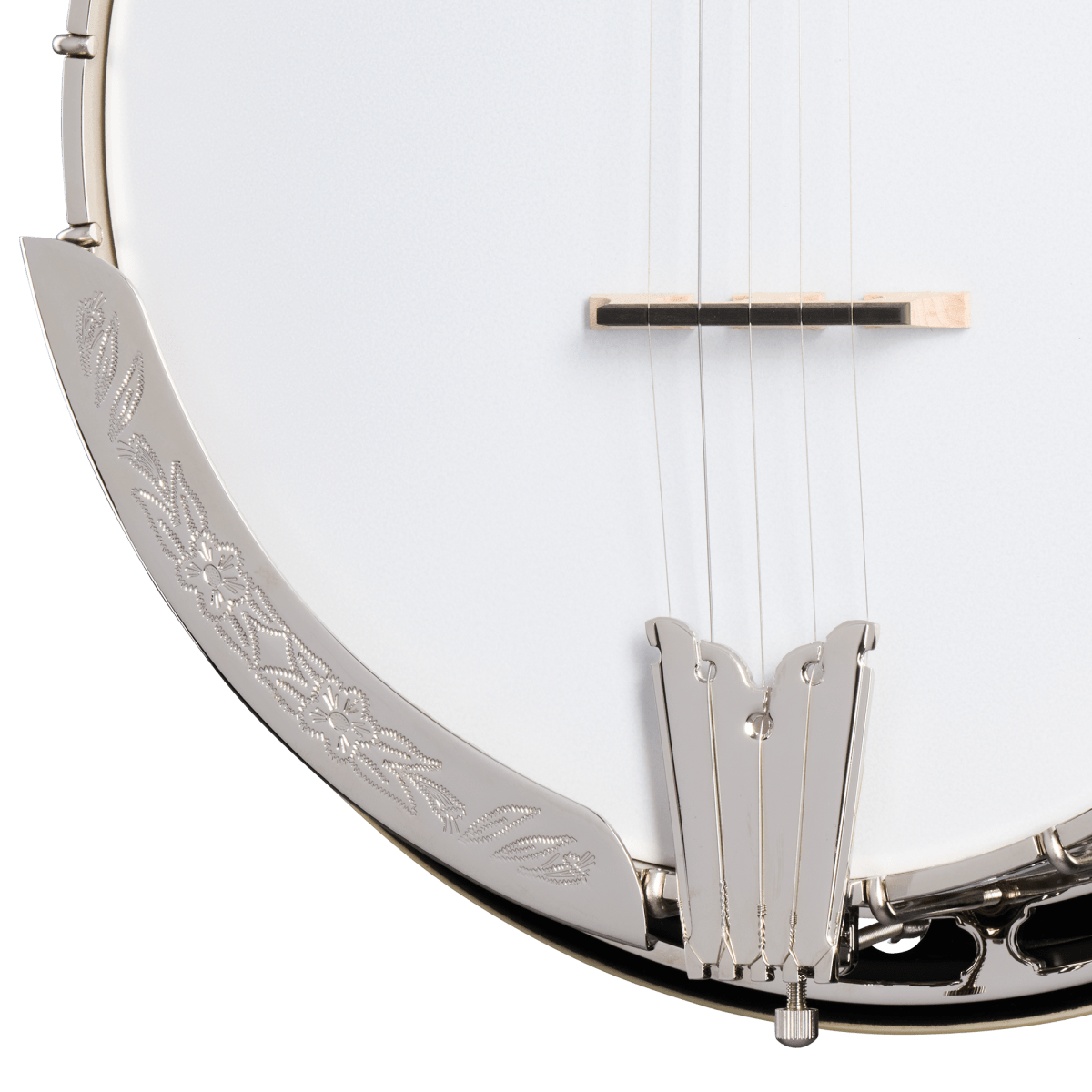 Epiphone Mastertone Classic Banjo - Natural, close-up of the mahogany resonator, nickel hardware, and Remo 11 frosted banjo head.