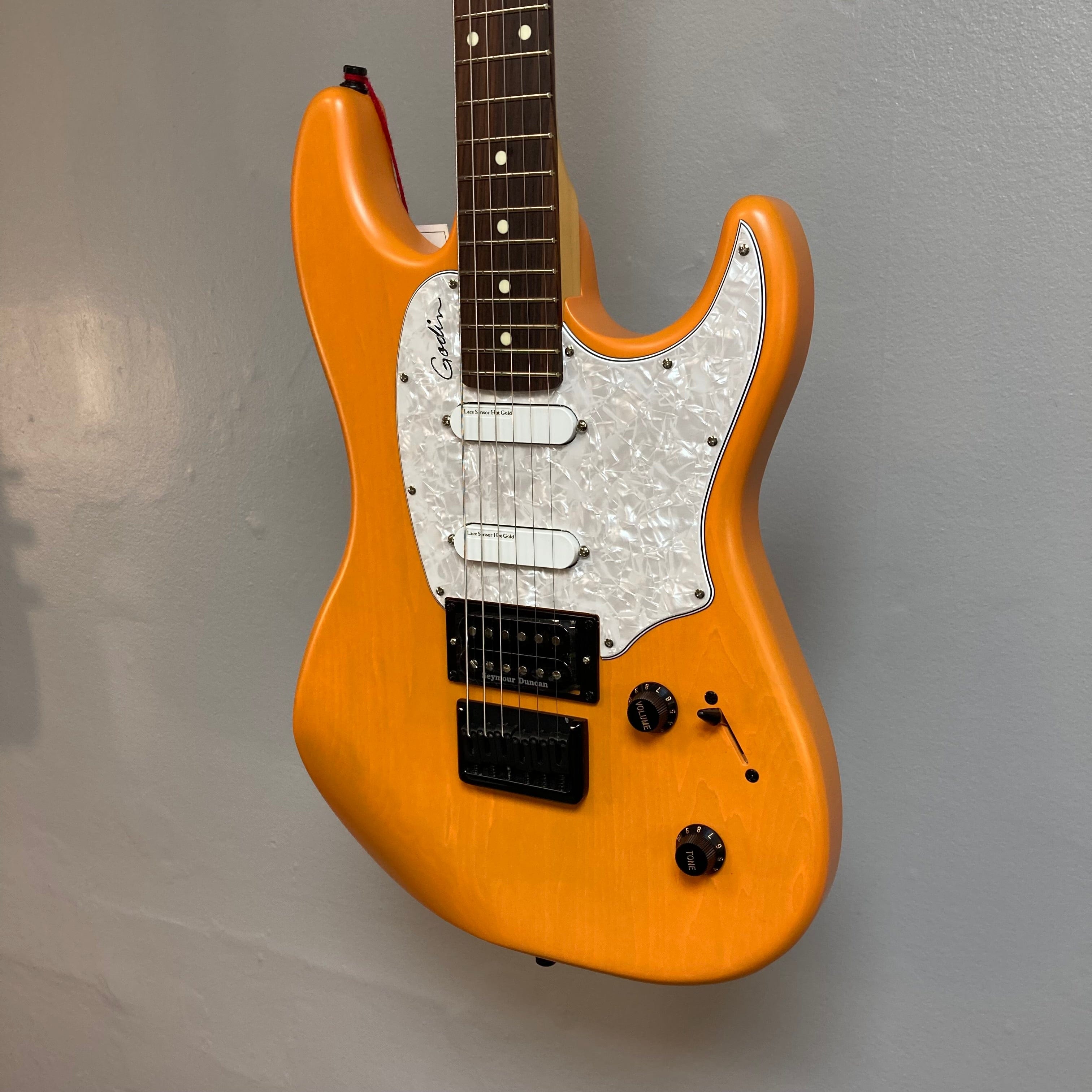 Godin Session R-HT Pro Features: Unleash Your Creativity