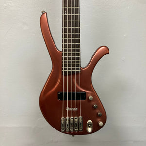 Ibanez Ergodyne EDA 905 5-string bass close-up, highlighting strings and bridge with Fishman Piezo pickups, showcasing its advanced design and craftsmanship.