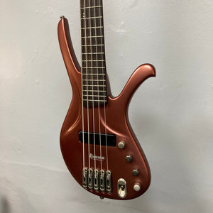 Ibanez Ergodyne Eda 905 5-string Bass with Luthite body, mounted on a wall.