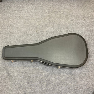 Ibanez EW20ASE w/Case Used Consign