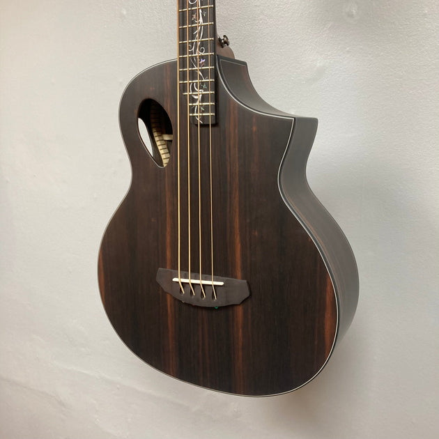 Michael kelly dragonfly fretless acoustic bass on sale