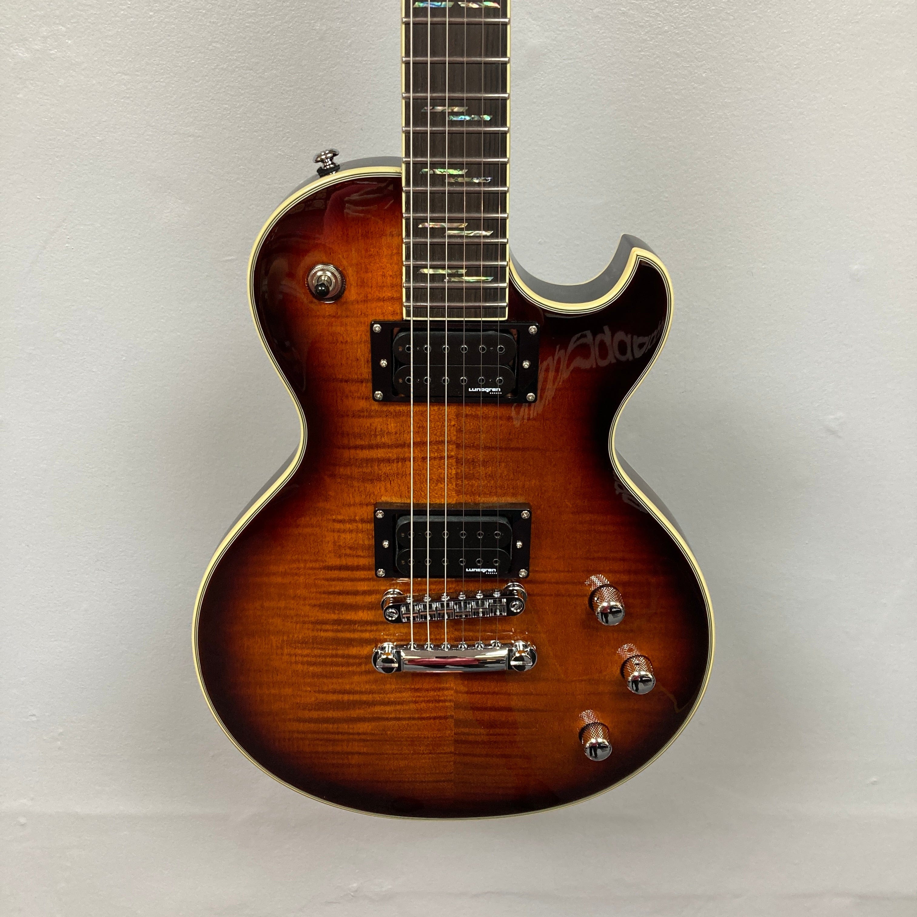Schecter Guitar Models: Elevate Your Performance Today Schecter Guitar Models: Elevate Your Performance Today