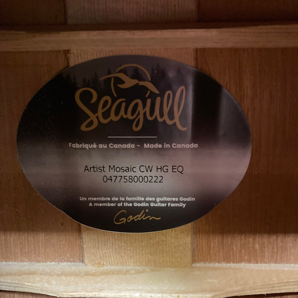 Seagull Artist Mosaic CW HG EQ Used w/Case