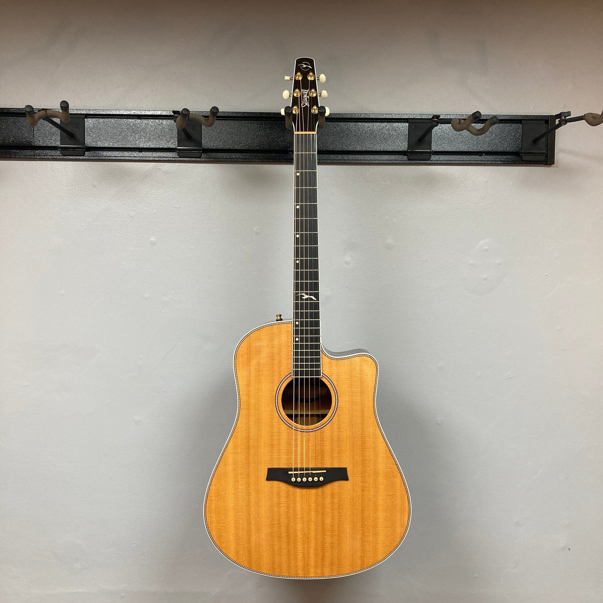 Seagull Artist Mosaic CW HG EQ Used w/Case