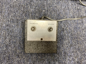 Close-up of a vintage Silvertone Model 1484 Twin Twelve Guitar Amp with 2x12 cabinet and footswitch.