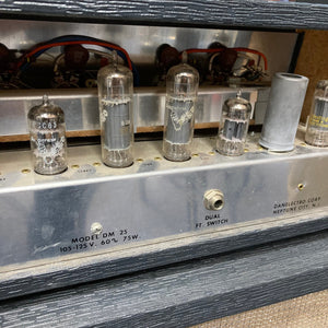 Close-up of a vintage Danelectro DM-25 1960s guitar amp showcasing its iconic tube-driven design and components.