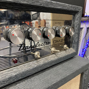 Close-up of a vintage Danelectro DM-25 1960s guitar amp, featuring a silver knob and classic tube-driven design.