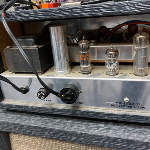 Vintage Danelectro DM-25 1960s Guitar Amp with tubes and wires, featuring a glass jar with a silver cap and metal components.