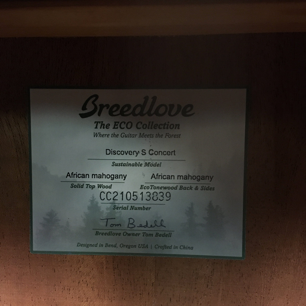 Breedlove Discovery S Concert