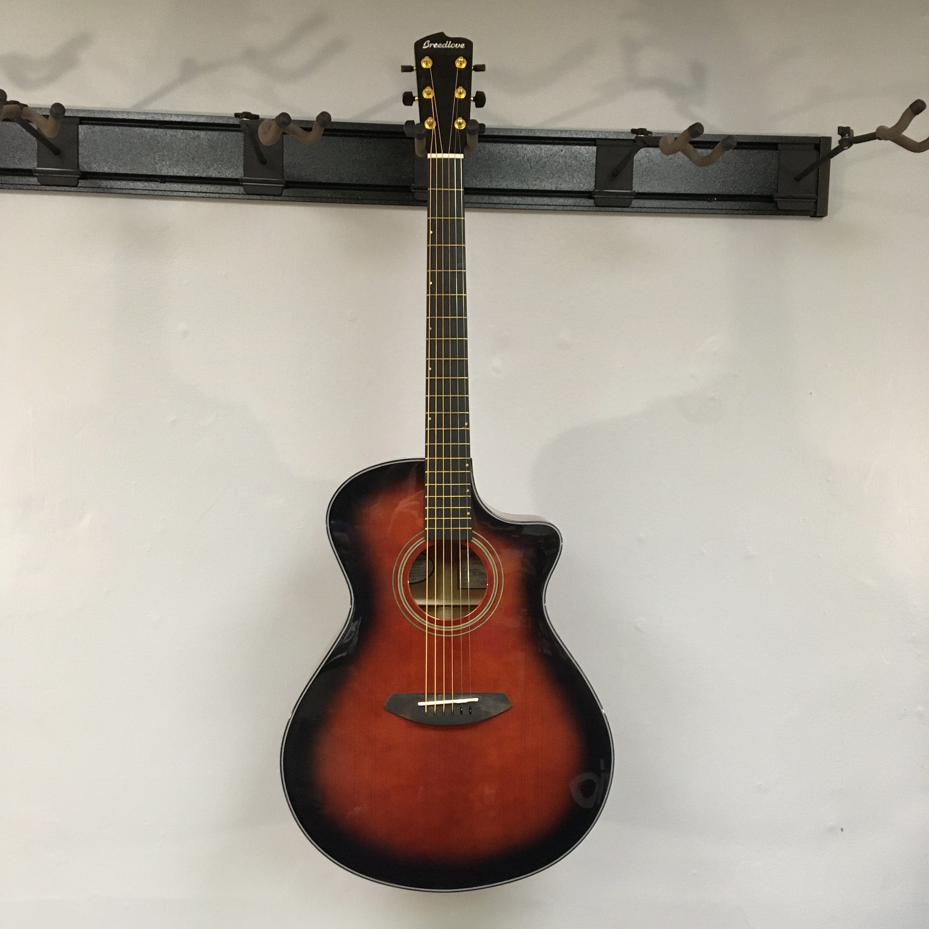 Breedlove performer store concert bourbon ce