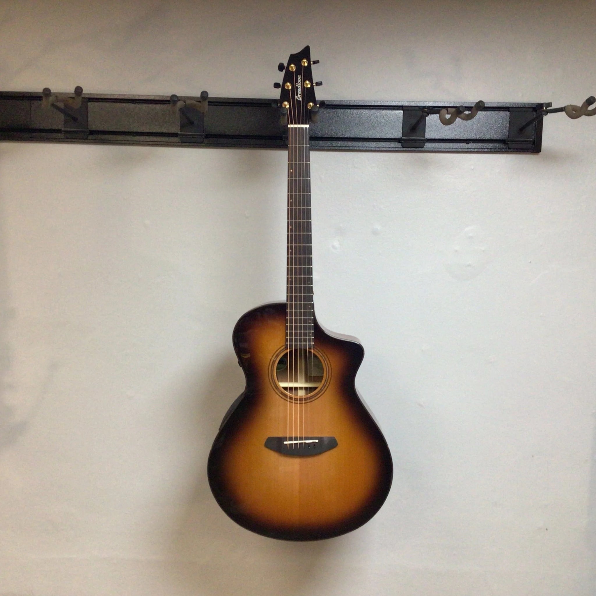 Breedlove solo best sale concert ce