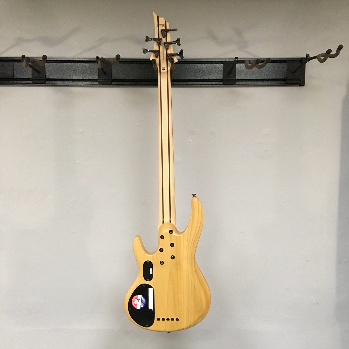ESP LTD B-205SM Fretless Bass Guitar Natural Satin