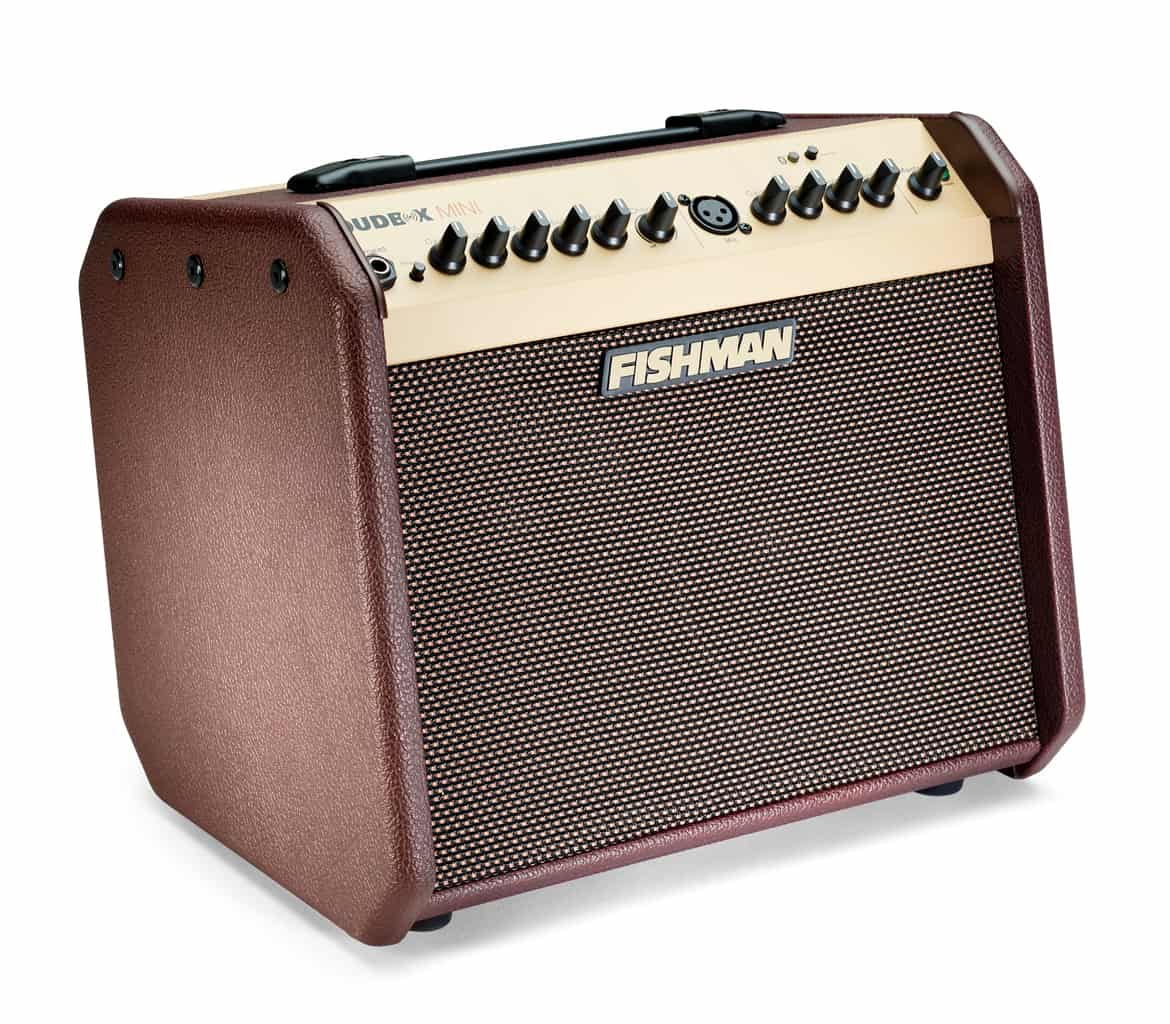 Fishman Loudbox Mini Bluetooth - 60 watts Guitars on Main